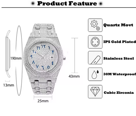 Iced Out Silver Luxury Men’s Watch